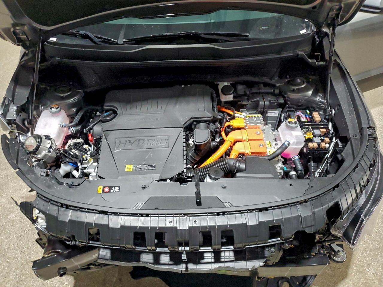 2026 KIA Niro
