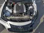 2023 LEXUS IS 350