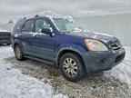 2005 HONDA CR-V