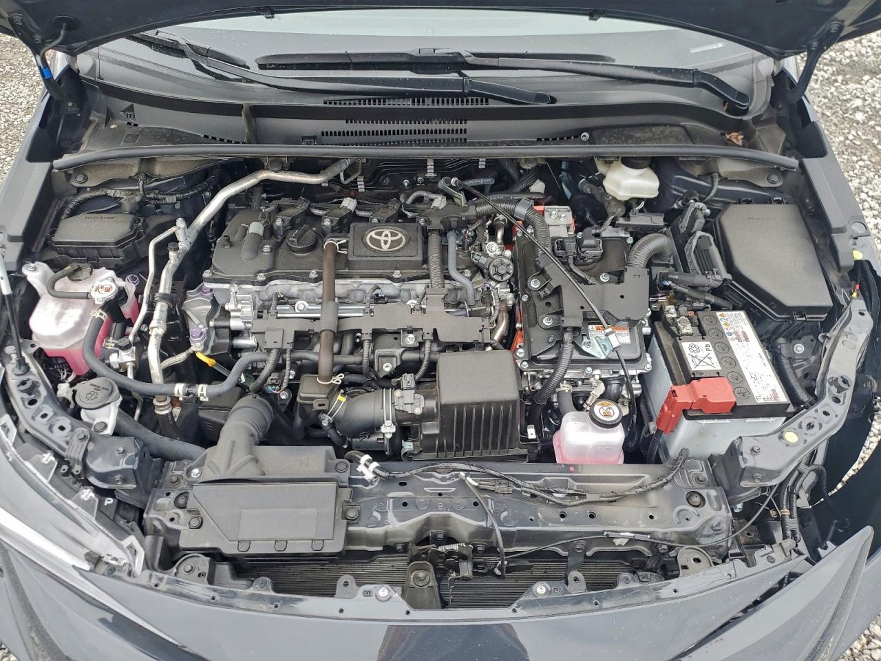 2025 TOYOTA COROLLA