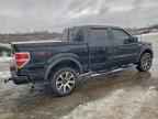 2009 FORD F-150