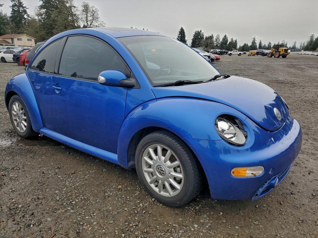 2004 VOLKSWAGEN Beetle