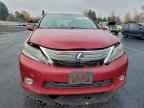 2010 LEXUS HS 250h