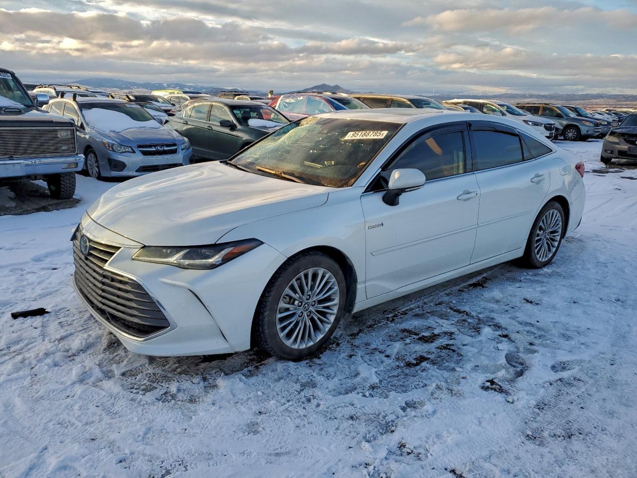 2020 TOYOTA Avalon