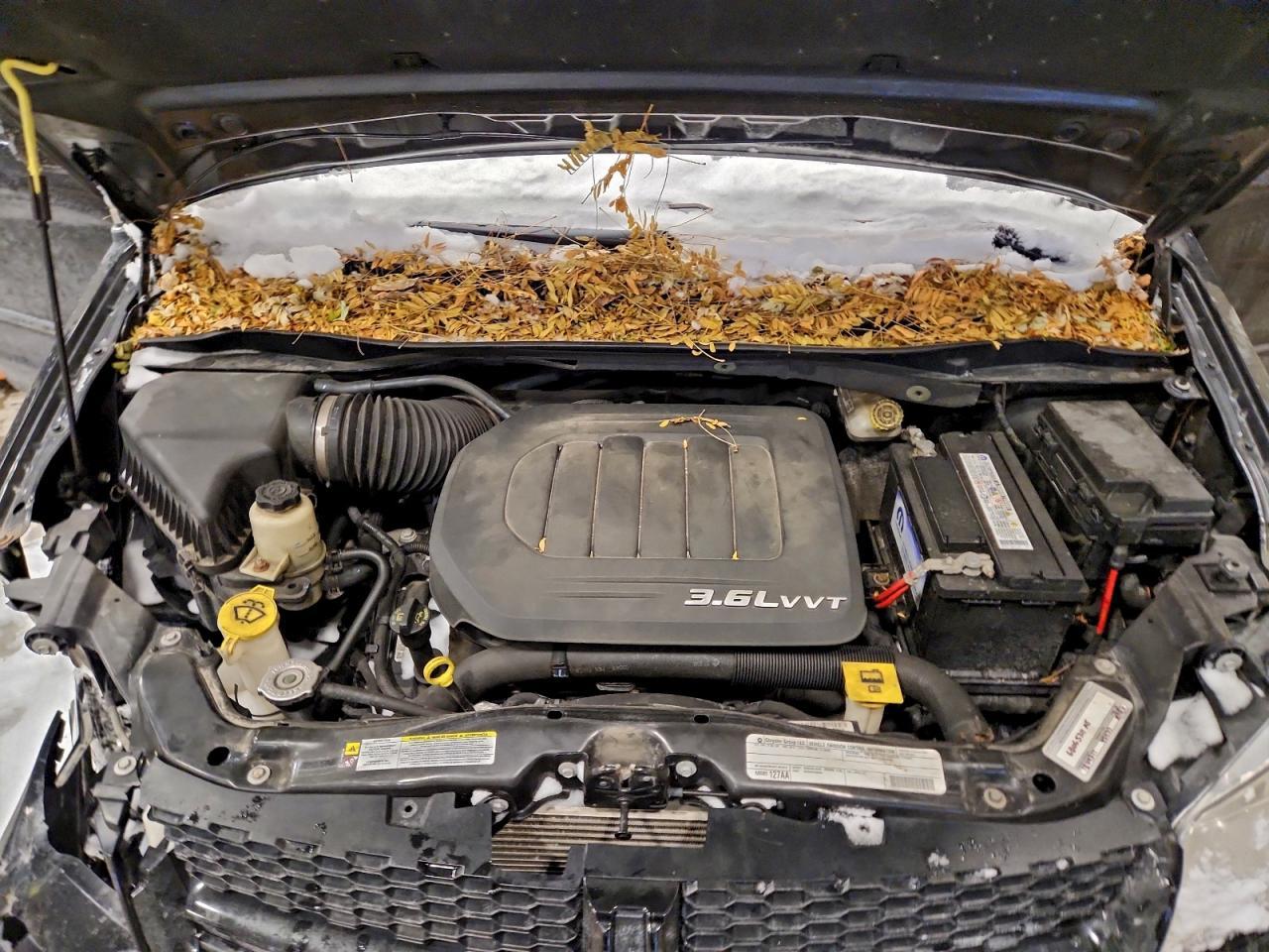 2011 DODGE GRAND CARAVAN