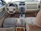 2010 FORD ESCAPE