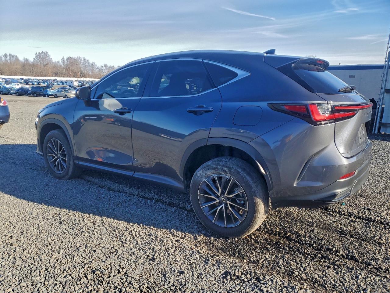 2024 LEXUS NX 350