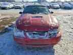 2000 FORD MUSTANG
