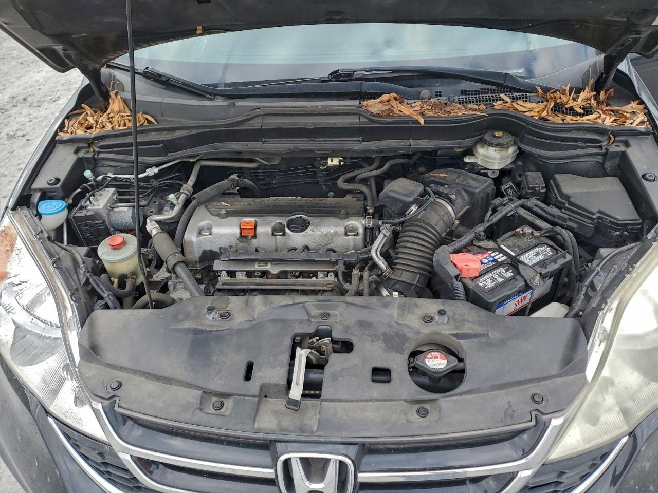2010 HONDA CR-V