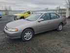 1999 NISSAN ALTIMA