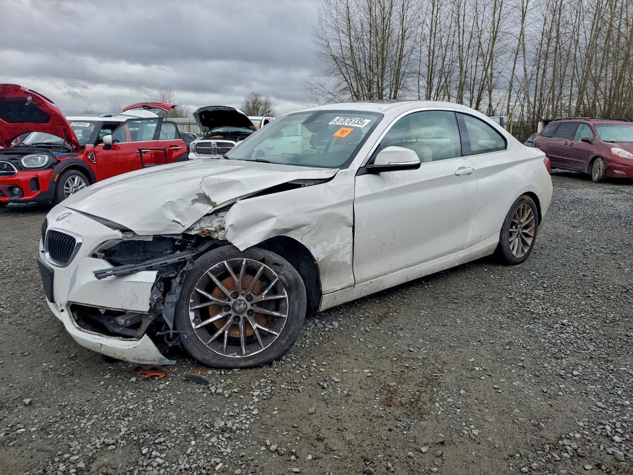 2015 BMW 2 Series