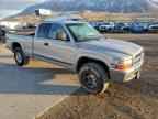1999 DODGE Dakota