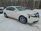 2010 ACURA TL