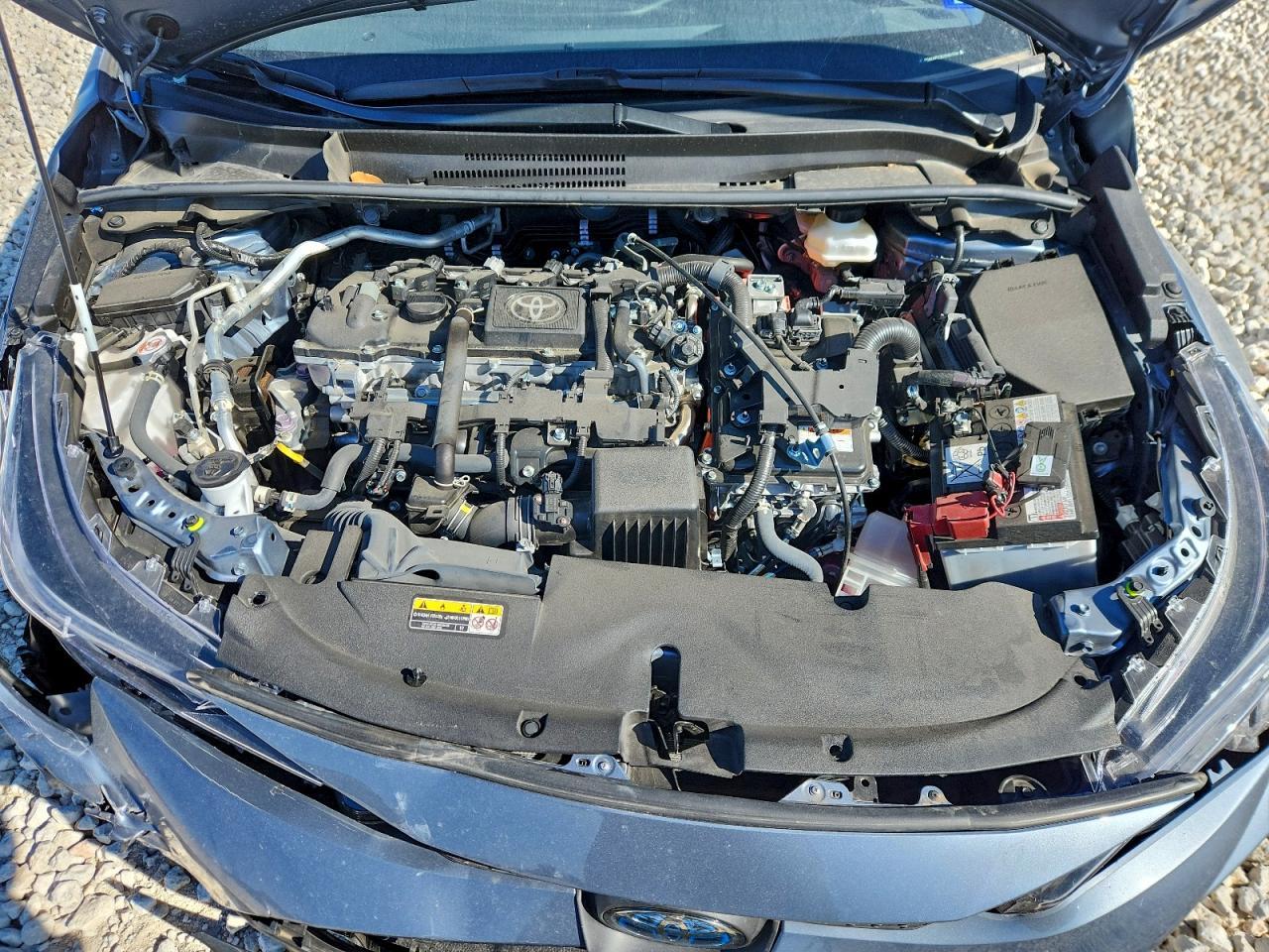 2025 TOYOTA COROLLA