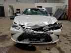 2020 LEXUS ES 350