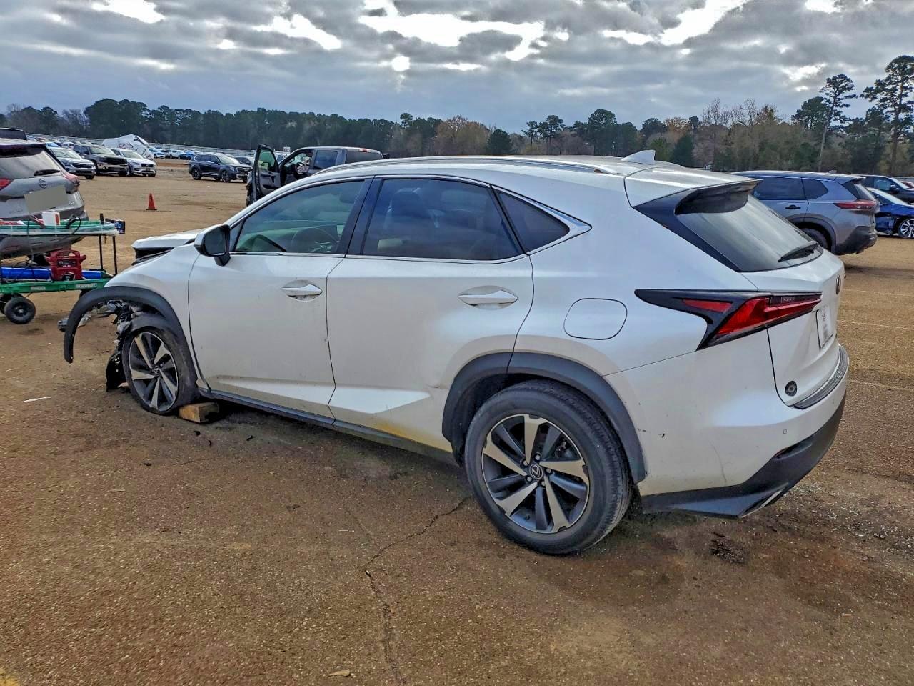 2019 LEXUS NX 300