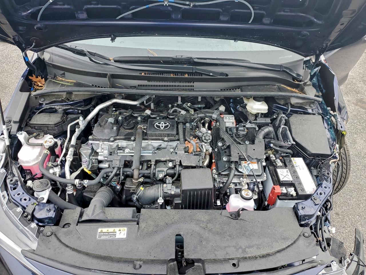 2025 TOYOTA COROLLA