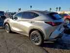 2025 LEXUS NX 350