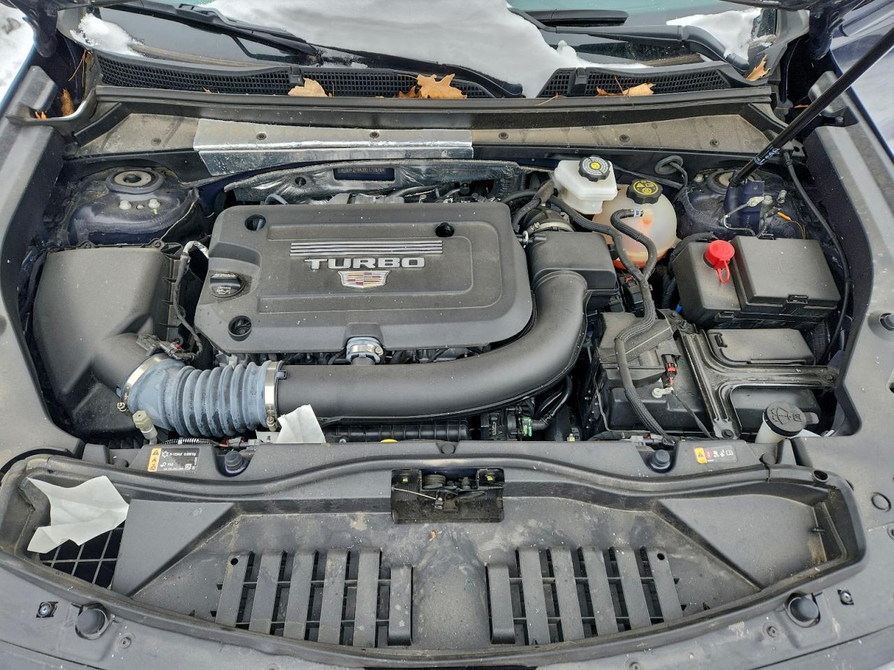 2024 CADILLAC XT4
