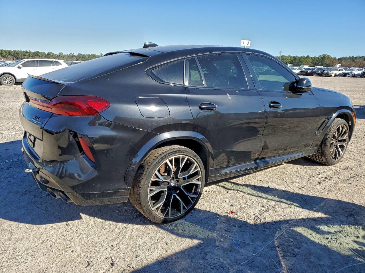 2021 BMW X6