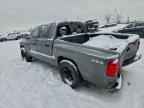 2010 DODGE Dakota