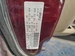 2009 DODGE GRAND CARAVAN