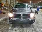 2006 DODGE Dakota