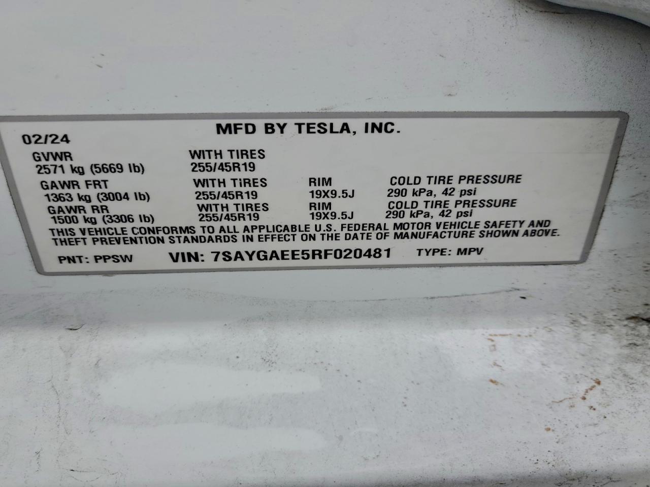 2024 TESLA MODEL Y