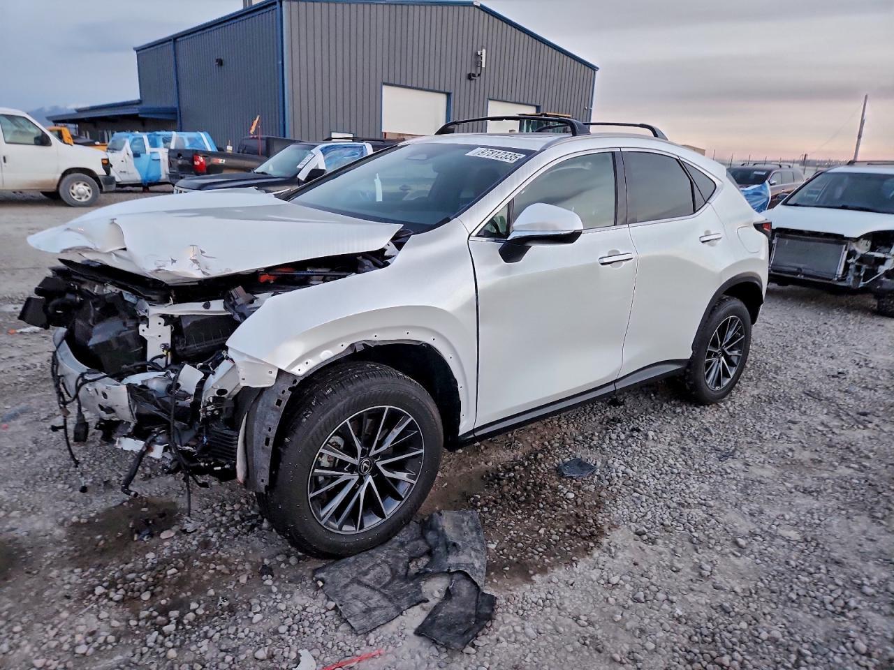 2023 LEXUS NX 350H