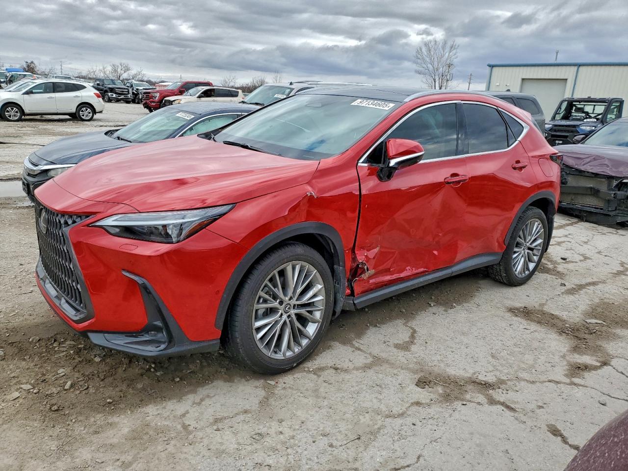 2024 LEXUS NX 350H