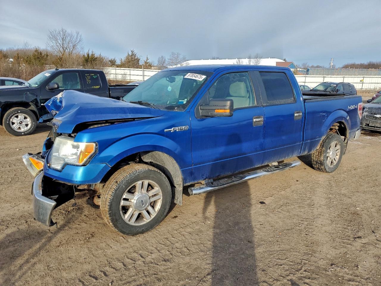 2010 FORD F-150