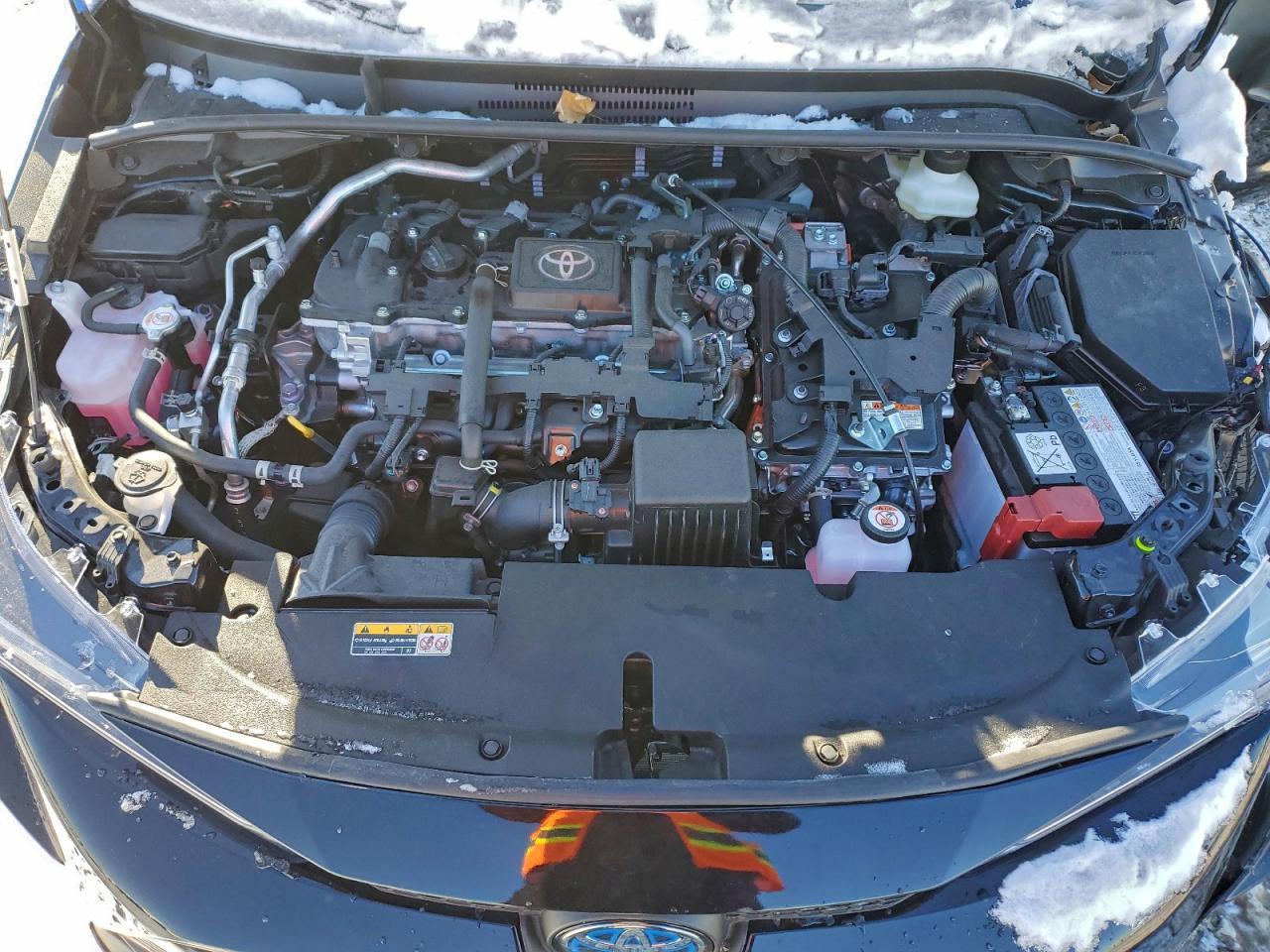 2025 TOYOTA COROLLA