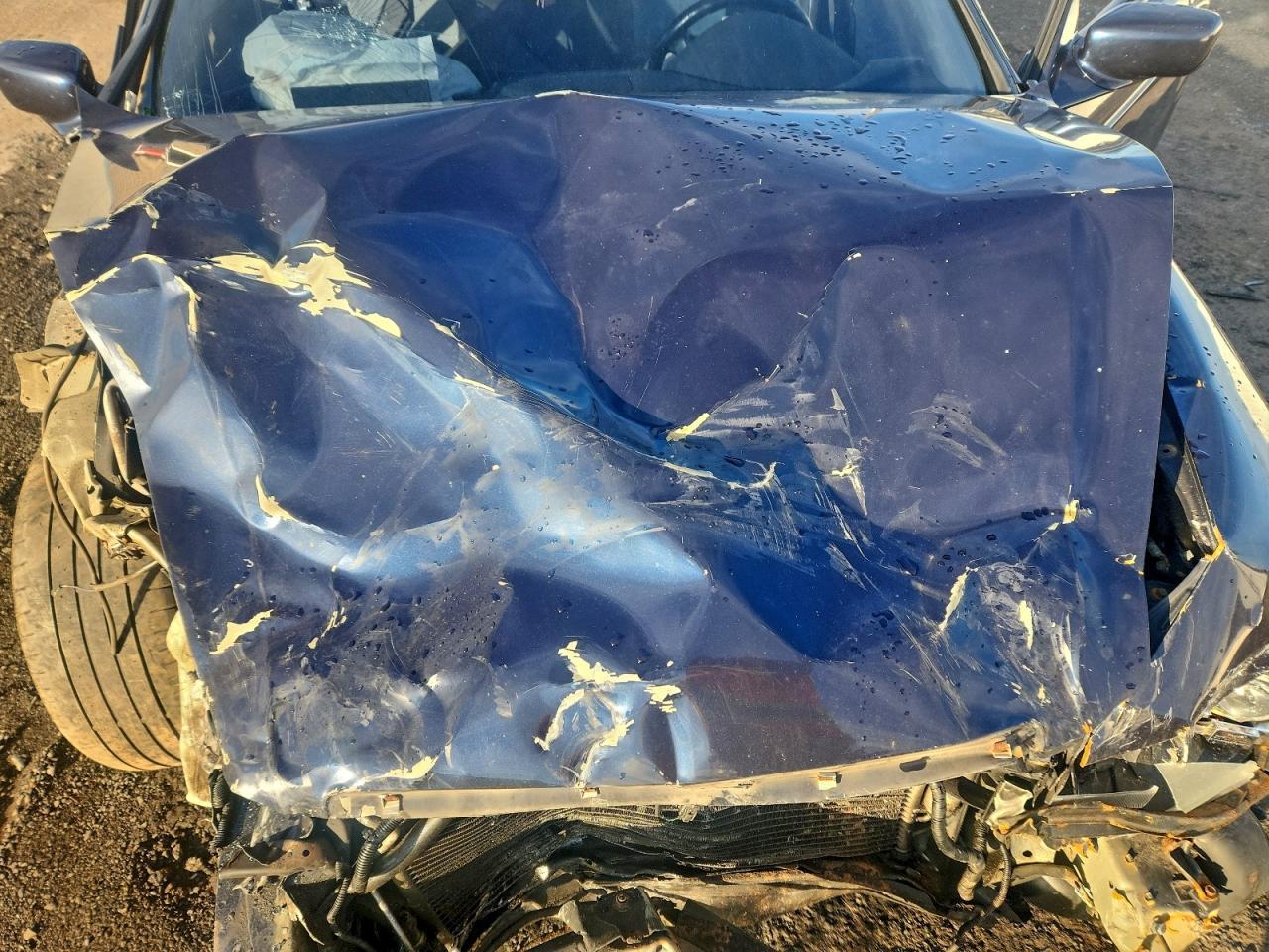 2004 ACURA TL