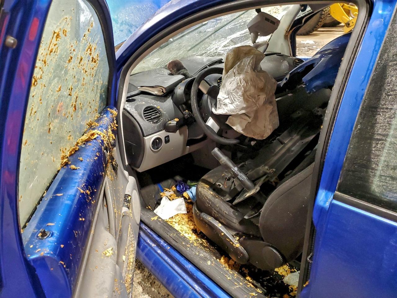 2004 VOLKSWAGEN Beetle