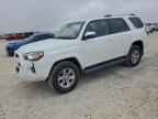 2024 TOYOTA 4Runner