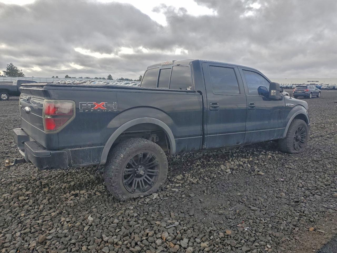 2009 FORD F-150