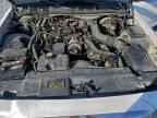 2003 FORD Crown Victoria