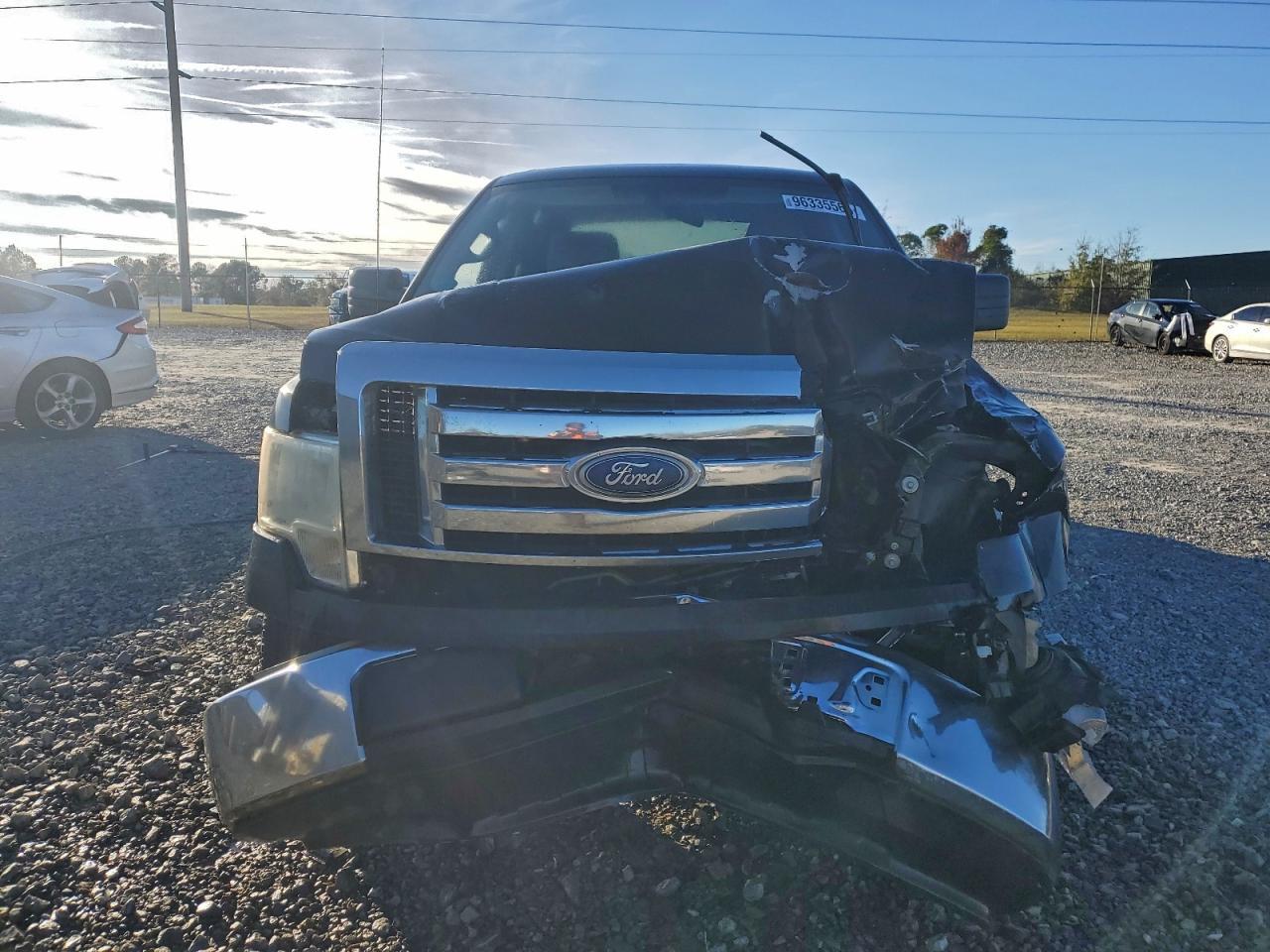 2010 FORD F-150