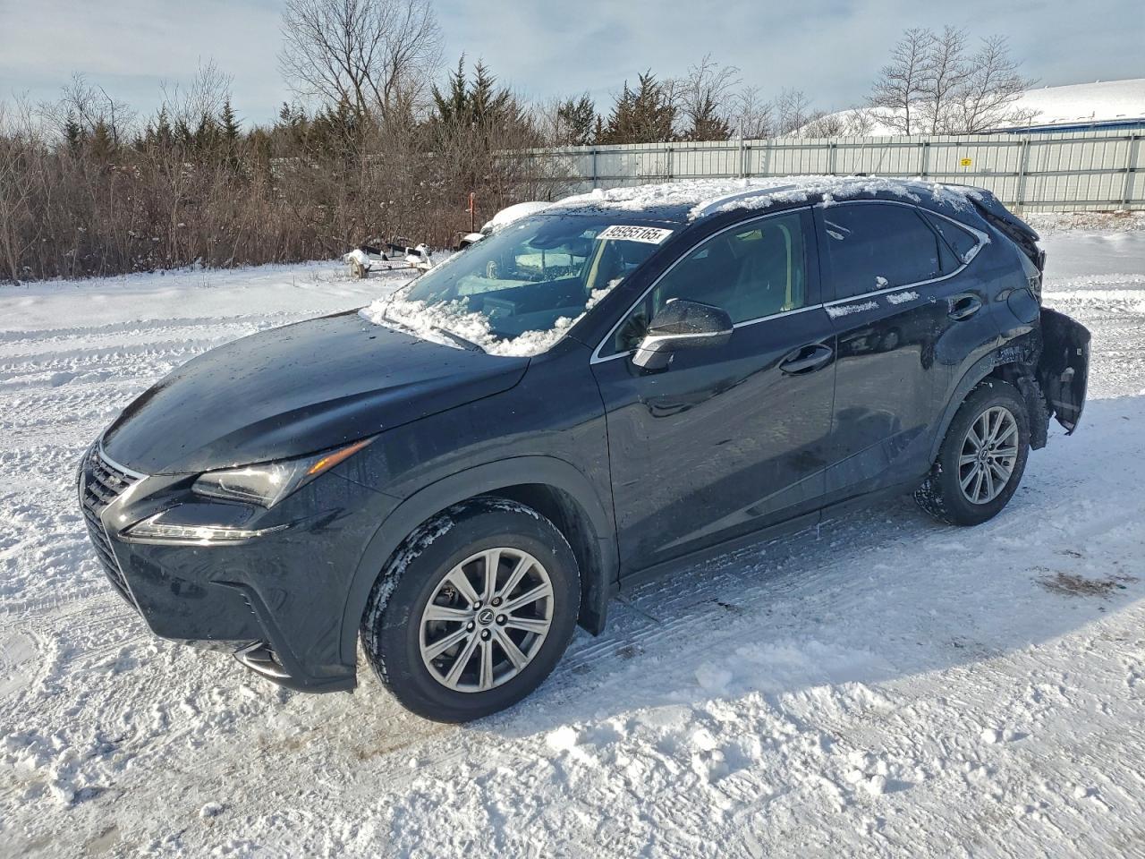 2020 LEXUS NX 300