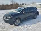 2020 LEXUS NX 300