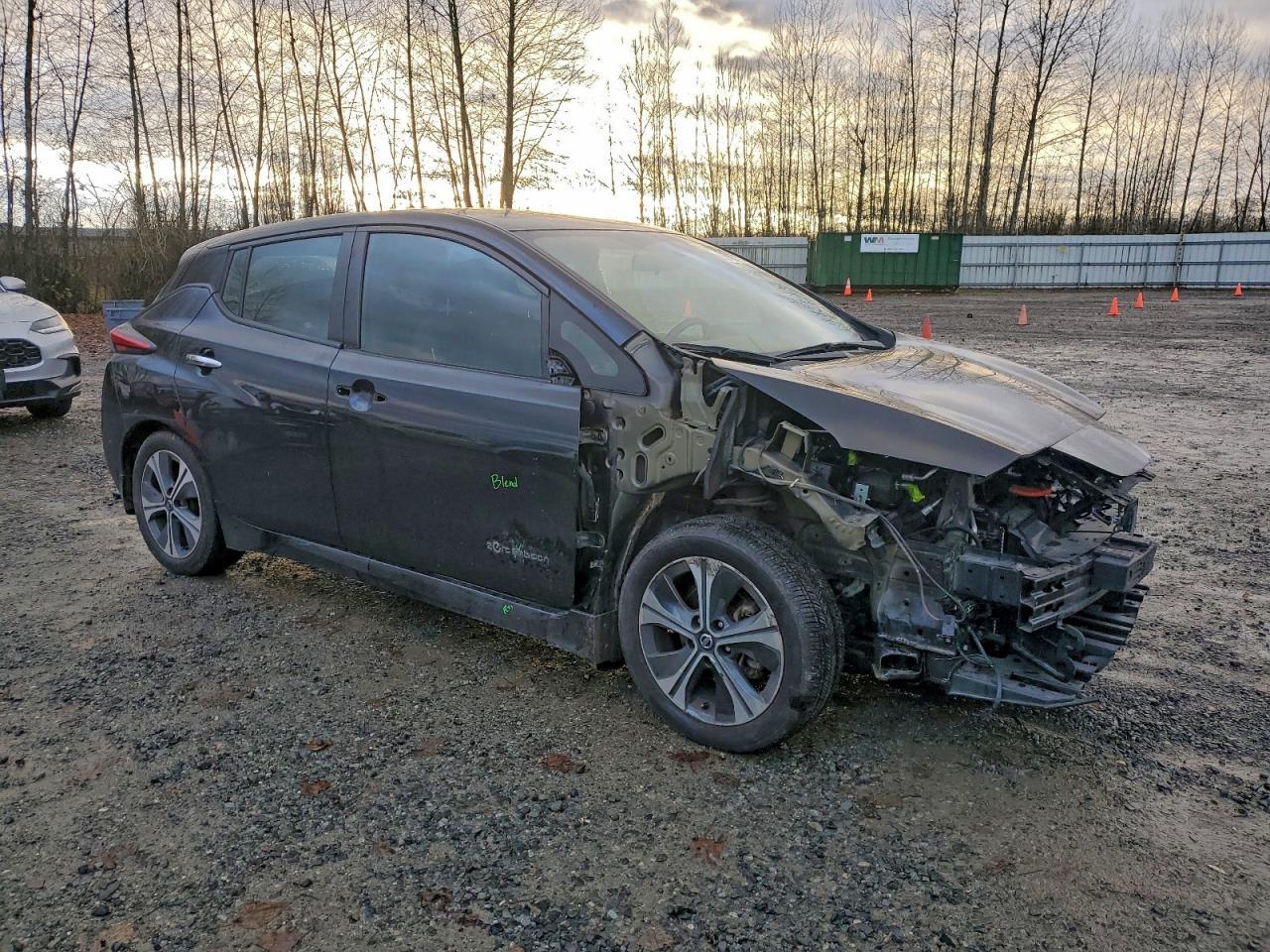 2019 NISSAN LEAF