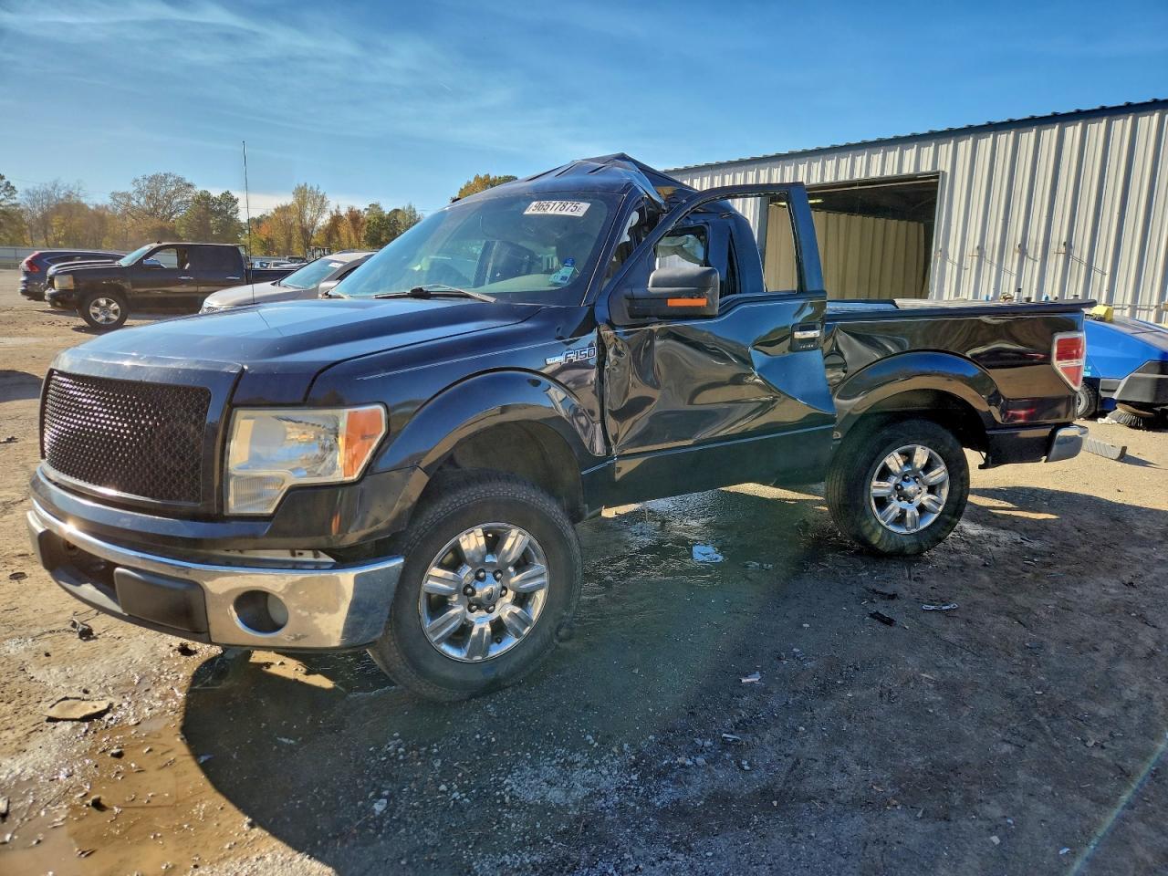 2010 FORD F-150