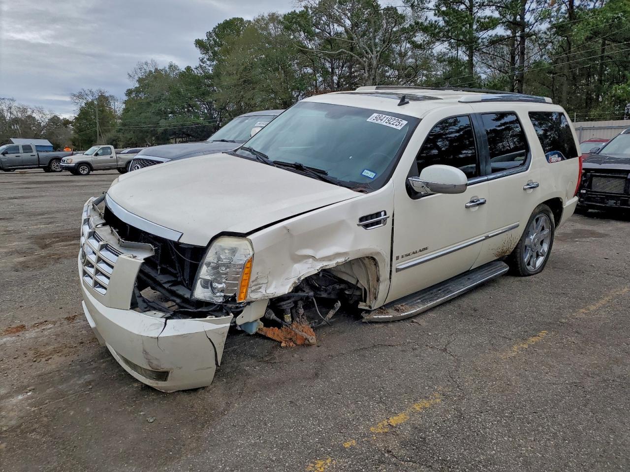 2009 CADILLAC ESCALADE