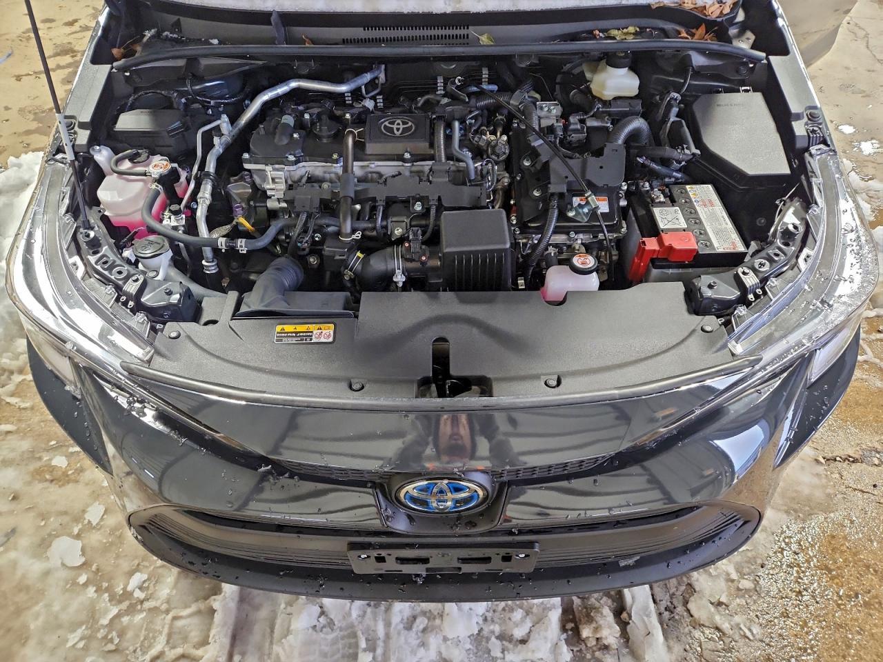 2025 TOYOTA COROLLA