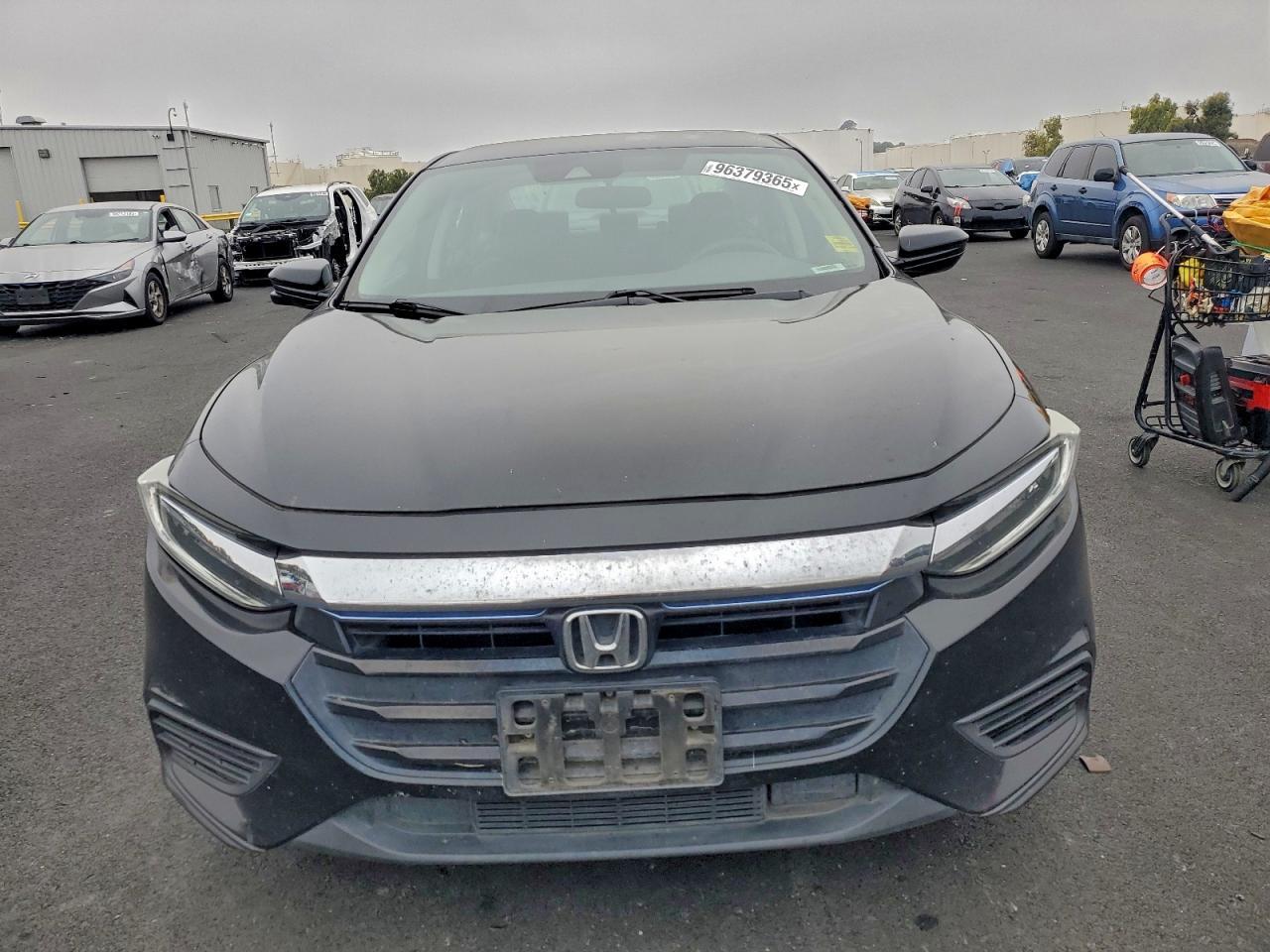 2019 HONDA Insight