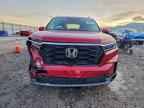 2023 HONDA PILOT