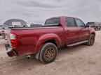 2004 TOYOTA TUNDRA