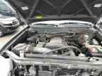 2004 TOYOTA Sequoia
