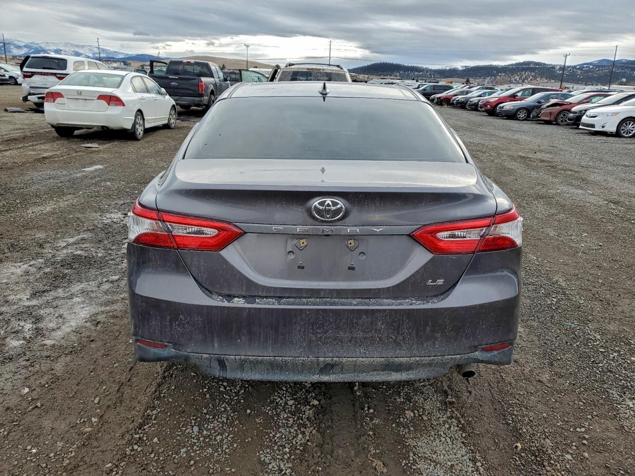 2019 TOYOTA CAMRY