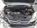 2010 HONDA CR-V
